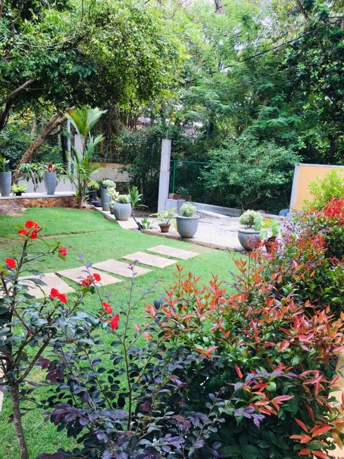 Homestay Center Point