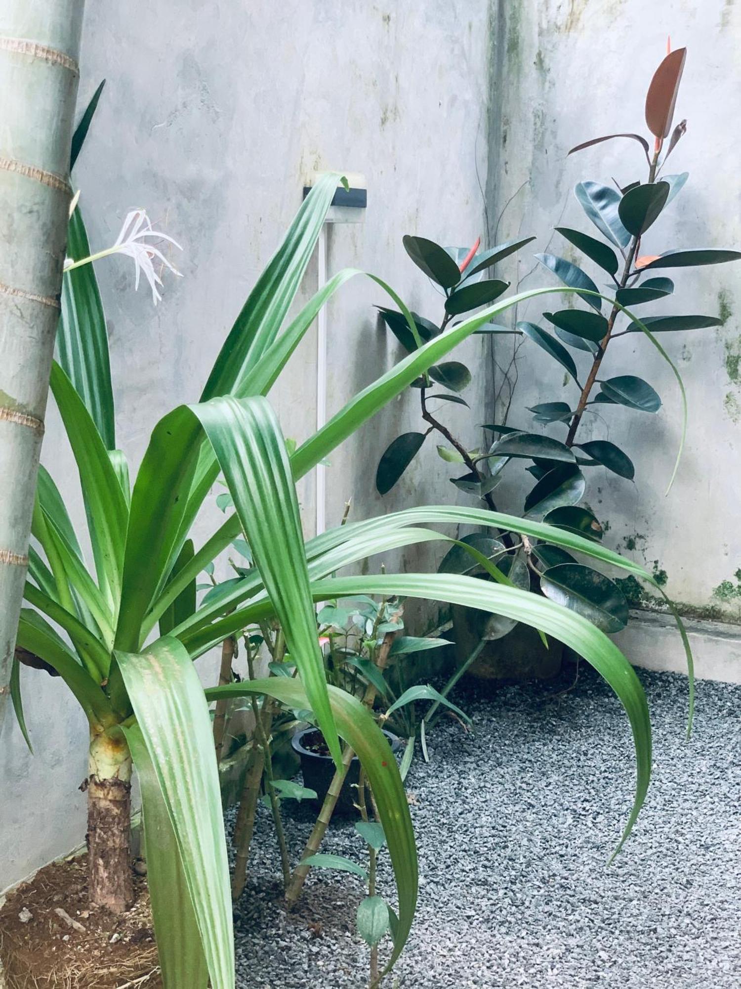Homestay Center Point